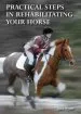 Audiobook Practical Steps in Rehabilitating Your Horse author Sara Wyche