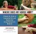 Audiobook Where Does my Horse Hurt?: A Hands-On Guide to Evaluating Pain and Dysfunction Using Chiropractic Methods author Renee Tucker