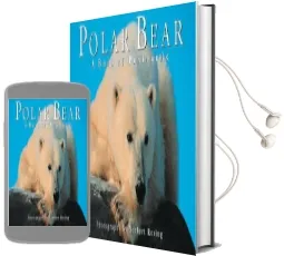Polar Bear: A Book of Postcards Audiobook download free by Norbert Rosing