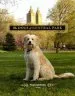 Audiobook The Dogs of Central Park author Fran Reisner