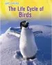 Audiobook The Life Cycle of Birds author Susan H Gray