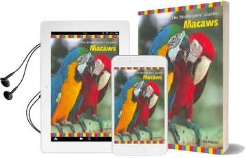 Macaws Audiobook download free by Julie Mancini