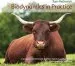 Audiobook Biodynamics in Practice: Life on a Community Owned Farm - Impressions of Tablehurst and Plawhatch, Sussex, England author Tom Petherick