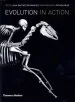 Audiobook Evolution in Action: Natural History Through Spectacular Skeletons author Jean Baptiste De Panafieu