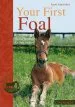 Audiobook Your First Foal: Horse Breeding for Beginners author Karin Kattwinkel