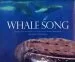 Audiobook Whale Song: Journeys Into the Secret Lives of the North Atlantic Humpbacks author Andrew Stevenson