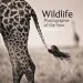 Audiobook Wildlife Photographer of the Year author Natural History Museum