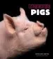 Audiobook Extraordinary Pigs author Stephen Green Armytage