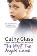 Audiobook The Night the Angels Came author Cathy Glass