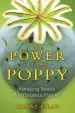 Audiobook The Power of the Poppy: Harnessing Nature'S Most Dangerous Plant Ally author Kenaz Filan