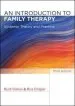 Audiobook An Introduction to Family Therapy author Rudi Dallos
