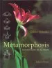 Audiobook Metamorphosis: Evolution in Action author Andreas Suchantke