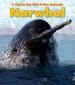 Audiobook Narwhal author Katie Marsico