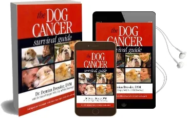 The dog Cancer Survival Guide: Full Spectrum Treatments to Optimize Your Dog'S Life Quality and Longevity Audiobook download free by Susan Ettinger