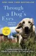 Audiobook Through a Dog'S Eyes: Understanding our Dogs by Understanding how They see the World author Dr Jennifer Arnold