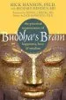 Audiobook Buddha'S Brain: The Practical Neuroscience of Happiness, Love, and Wisdom author Rick Hanson
