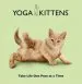 Audiobook Yoga Kittens: Take Life one Pose at a Time author Daniel Borris
