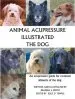 Audiobook Animal Acupressure Illustrated: The dog author Deanna S Smith