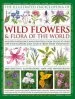 Audiobook Illustrated Encyclopedia of Wild Flowers & Flora of the World author Martin Walters
