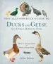 Audiobook The Illustrated Guide to Ducks and Geese and Other Domestic Fowl: How to Choose Them - how to Keep Them author Celia Lewis