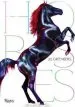 Audiobook Horses author Jill Greenberg