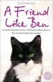 Audiobook A Friend Like ben: The True Story of the Little Black and White cat That Saved my son author Julia Romp