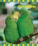 Audiobook Parrotlets author Nikki Moustaki