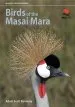 Audiobook Birds of the Masai Mara author Adam Scott Kennedy