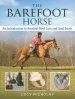 Audiobook The Barefoot Horse: An Introduction to Barefoot Hoof Care and Hoof Boots author Lucy Nicholas