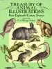 Audiobook Treasury of Animal Illustrations From Eighteenth Century Sources author Carol Belanger Grafton