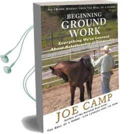 Beginning Ground Work: Everything We'Ve Learned About Relationship and Leadership Audiobook download free by Joe Camp