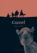 Audiobook Camel author Robert Irwin