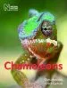 Audiobook Chameleons author Chris Mattison