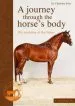 Audiobook Journey Through the Horse'S Body: The Anatomy of the Horse author Dr Christina Fritz