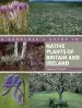 Audiobook A Gardener'S Guide to Native Plants of Britain and Ireland author Rosemary Fitzgerald