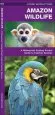 Audiobook Amazon Wildlife: A Waterproof Pocket Guide to Familiar Species author James Kavanagh