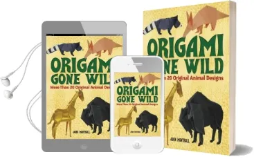 Origami Gone Wild Audiobook download free by John Montroll