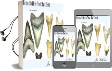 Pictorial Guide to Fossil Shark Teeth: Shark Teeth From Around the World Audiobook download free by Jim Rathbone