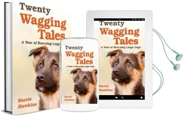 Twenty Wagging Tales: Our Year of Rehoming Orphaned Dogs Audiobook download free by Barrie Hawkins