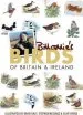 Audiobook Bill Oddie'S Birds of Britain and Ireland author Bill Oddie