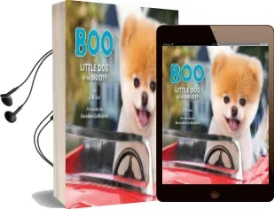 Boo: Little dog in the big City Audiobook download free by J. H. Lee