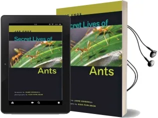 Secret Lives of Ants Audiobook download free by Jae C. Choe