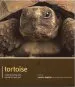 Audiobook Tortoise - pet Expert: Understanding and Caring for Your pet author Lance Jepson