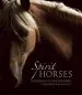 Audiobook Spirit Horses author Tony Stromberg