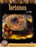 Audiobook Tortoises: A Comprehensive Guide to Russian Tortoises, Leopard Tortises, and More author E. J. Pirog
