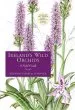 Audiobook Ireland'S Wild Orchids author Brendan Sayers