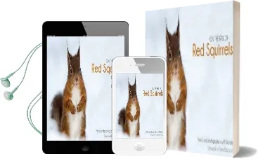 On the Trail of red Squirrels Audiobook download free by Will Nicholls