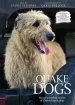 Audiobook Quake Dogs author Laura Sessions