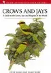 Audiobook Crows and Jays author Steve Madge