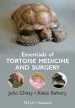 Audiobook Essentials of Tortoise Medicine and Surgery author John Chitty